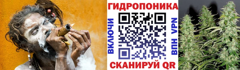 купить даркнет наркотические препараты omg ссылка Конопля THC 21% Ленск